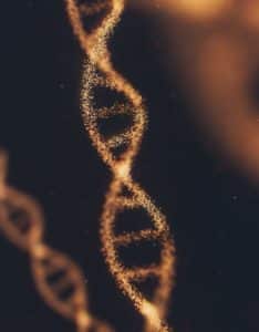 Addiction As Legacy: Genes Raise The Stakes