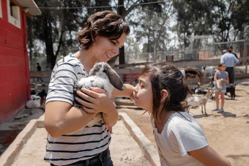 San Juan Capistrano Zoomars Petting Zoo | New Leaf Detox & Treatment