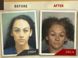 alcohol and quality of life 5