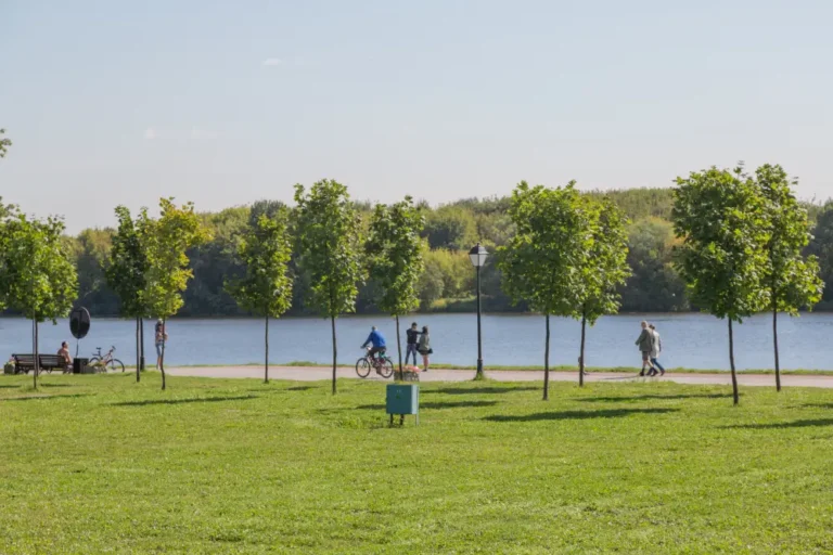 orange county rehab with step-down care