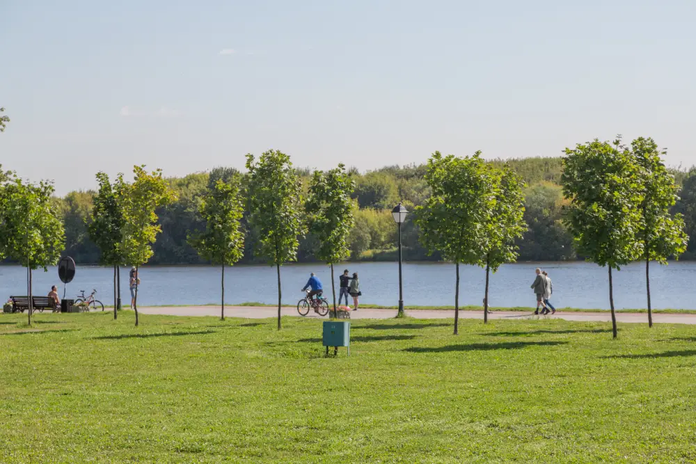 Orange County Alcohol Detox | New Leaf Detox & Treatment